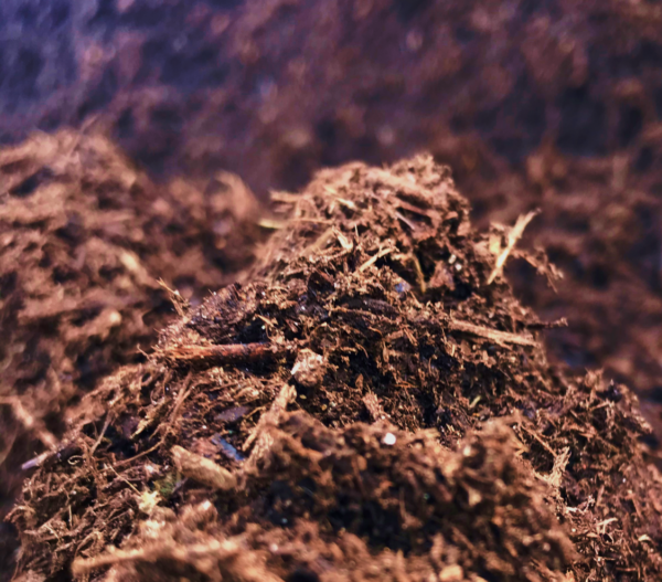 compost